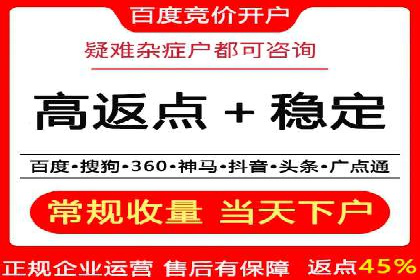 如何在sem竞价托管中取得卓越效果——案例解读